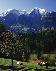 Image showing German Alps in Autumn