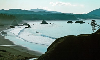 Image showing Coast of Oregon