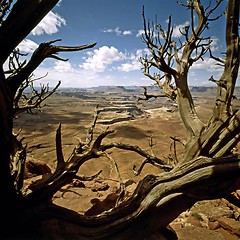 Image showing Canyonlands