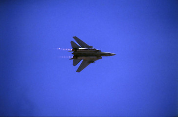 Image showing Low flying F-14 Tomcat