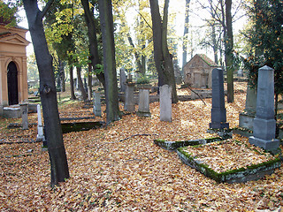 Image showing Autumn on cemetery