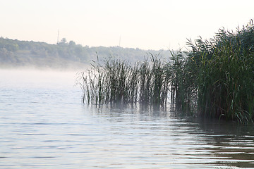 Image showing  the fog