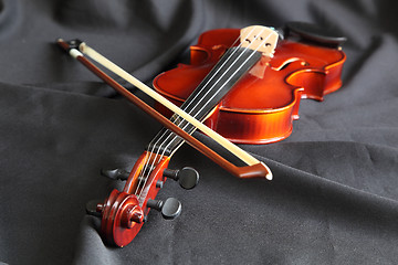 Image showing violin