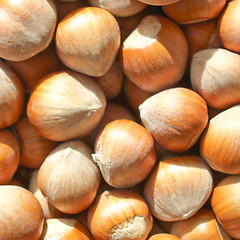 Image showing Hazelnuts picture