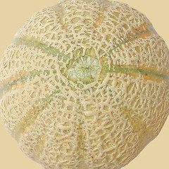 Image showing Melon fruit