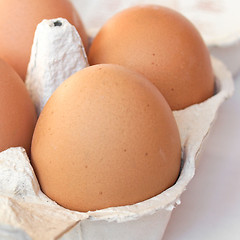 Image showing Eggs picture