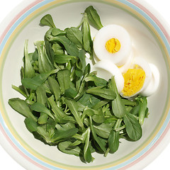 Image showing Salad picture