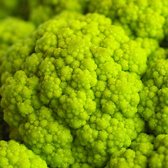 Image showing Cauliflower