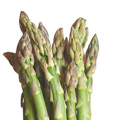 Image showing Asparagus