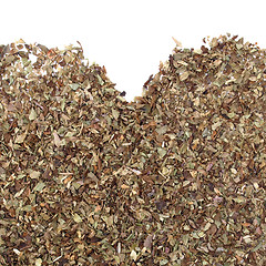 Image showing Oregano spice