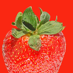 Image showing Strawberries