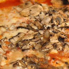 Image showing Mushroom Pizza