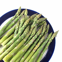 Image showing Asparagus