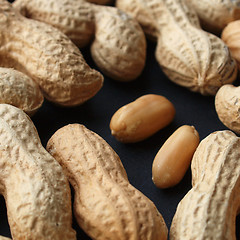 Image showing Peanut picture