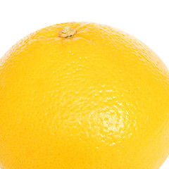 Image showing Grapefruit picture