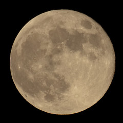 Image showing Full moon