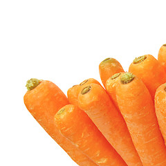 Image showing Carrots