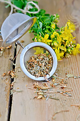 Image showing Herbal tea from tutsan dry and fresh in a strainer