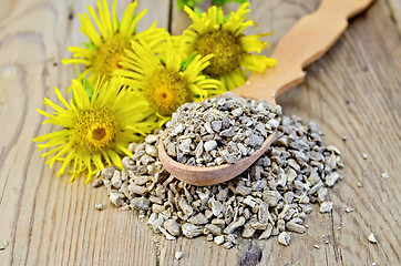 Image showing Herbal tea made from the root of Elecampane on a spoon