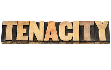 Image showing tenacity word in wood type