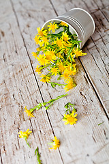 Image showing wild yellow flowers in bucket 