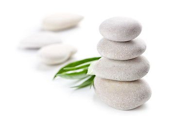 Image showing stones and green leaves