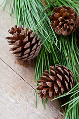 Image showing christmas fir tree with pinecones