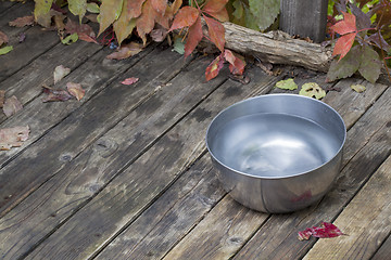 Image showing dog water bowl