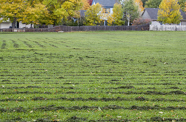 Image showing grass field mowed