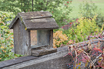 Image showing old bird feeder