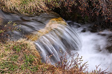Image showing Stream in Colorado