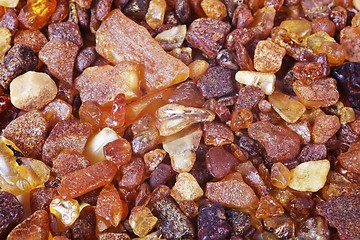 Image showing amber