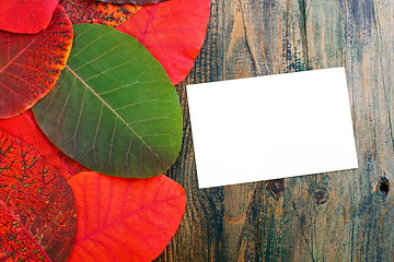 Image showing Bright autumn leaves and card.