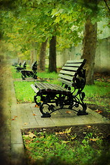 Image showing Bench in the old park. 