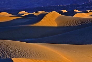 Image showing Sand Dunes