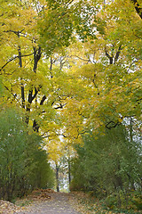 Image showing fall landscape