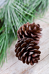 Image showing christmas fir tree with pinecones