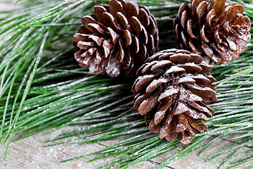 Image showing christmas fir tree with pinecones