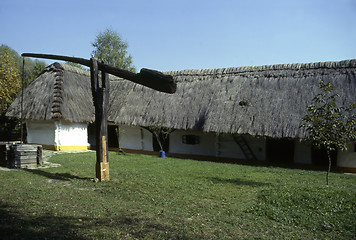 Image showing Village house