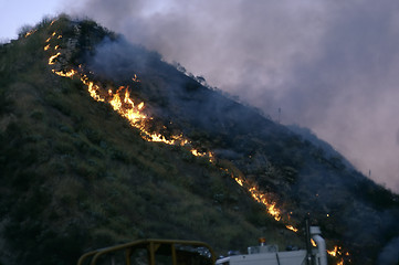 Image showing Brush Fire