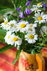 Image showing Bouquet of beautiful summer flowers, close-up  