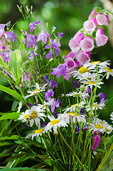 Image showing Bouquet of beautiful summer flowers, close-up  