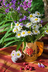 Image showing Bouquet of beautiful summer flowers, close-up  