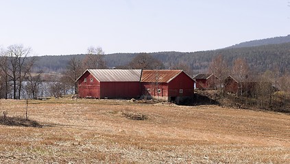 Image showing Farm in the spring