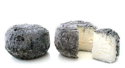 Image showing goat cheeses