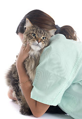 Image showing maine coon cat an vet