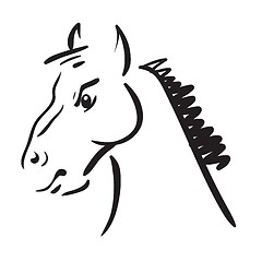 Image showing an horse on white background 