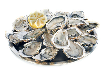 Image showing french oysters