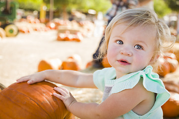 Image showing Adorable Baby Girl Having Fun at the Pumpkin Patch
