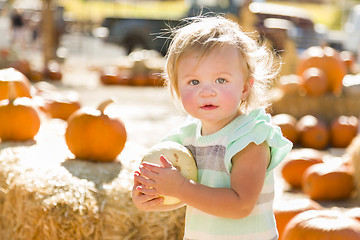 Image showing Adorable Baby Girl Holding a Pumpkin at the Pumpkin Patch
